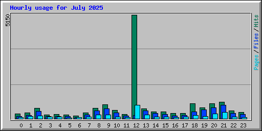 Hourly usage for July 2025