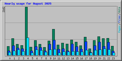 Hourly usage for August 2025