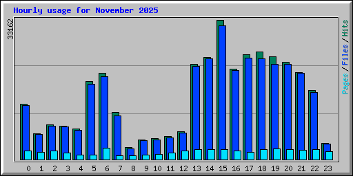 Hourly usage for November 2025