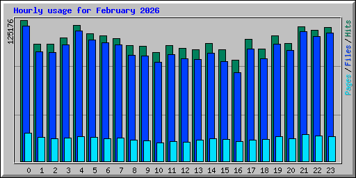 Hourly usage for February 2026
