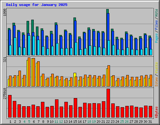 Daily usage for January 2025