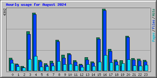 Hourly usage for August 2024