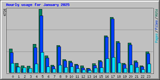Hourly usage for January 2025
