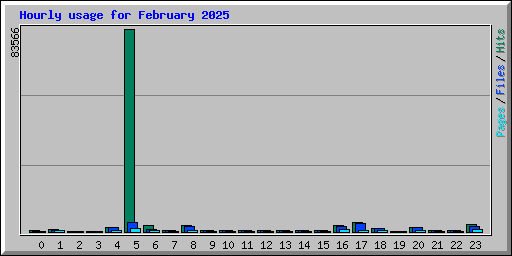 Hourly usage for February 2025