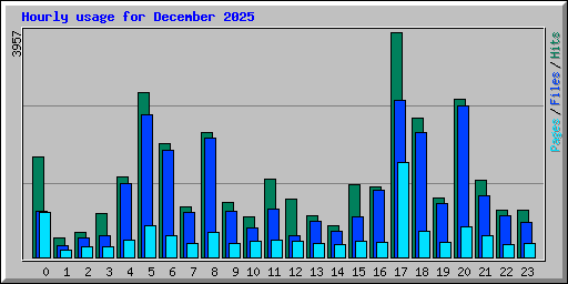 Hourly usage for December 2025