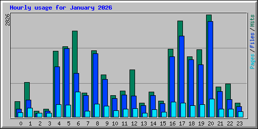 Hourly usage for January 2026