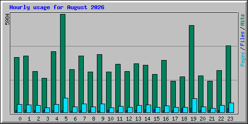 Hourly usage for August 2026