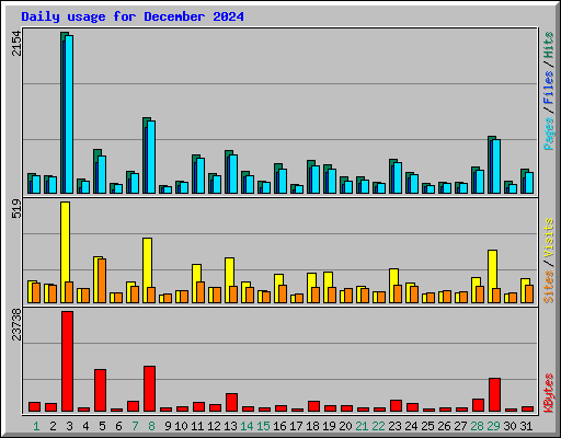 Daily usage for December 2024