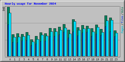 Hourly usage for November 2024