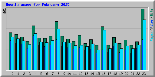 Hourly usage for February 2025