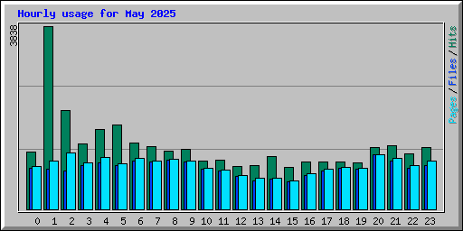 Hourly usage for May 2025
