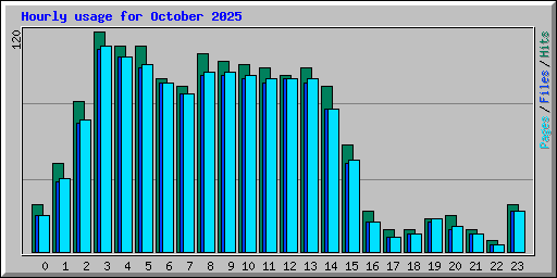 Hourly usage for October 2025
