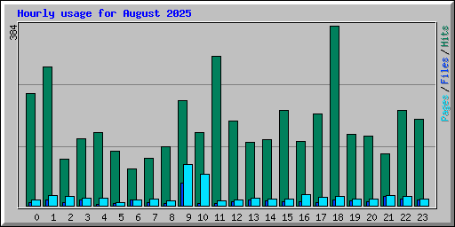 Hourly usage for August 2025