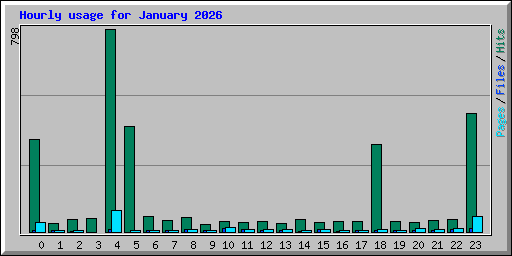 Hourly usage for January 2026