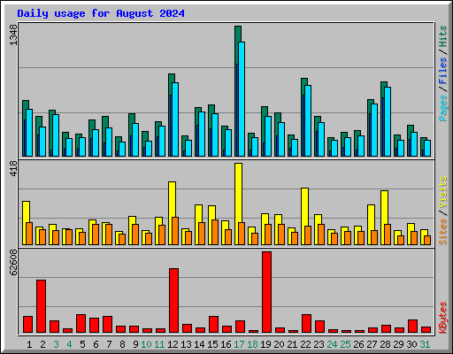 Daily usage for August 2024
