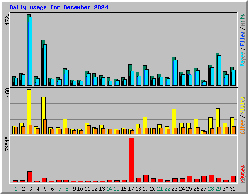 Daily usage for December 2024
