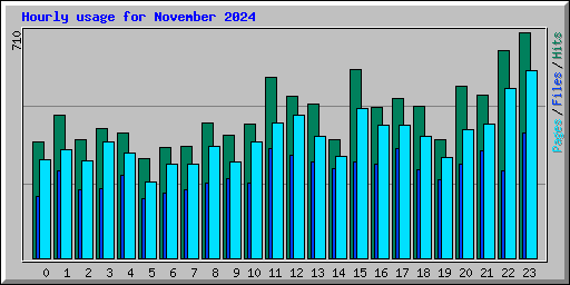 Hourly usage for November 2024