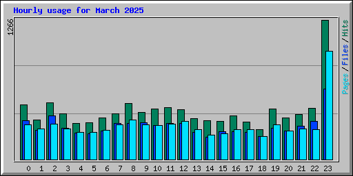 Hourly usage for March 2025