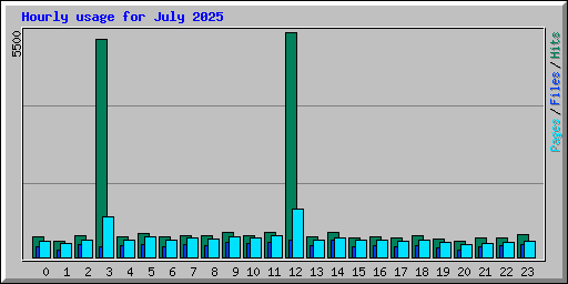 Hourly usage for July 2025