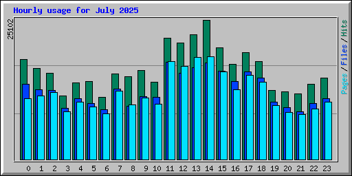 Hourly usage for July 2025