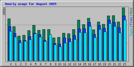 Hourly usage for August 2025
