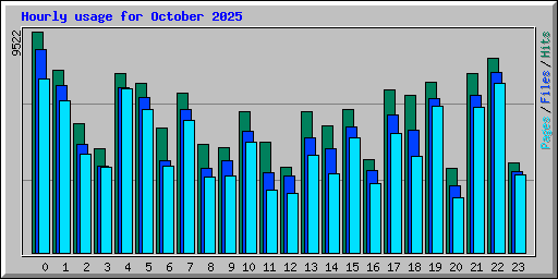 Hourly usage for October 2025