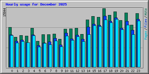 Hourly usage for December 2025