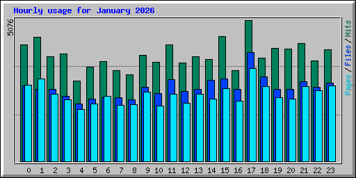 Hourly usage for January 2026
