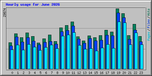 Hourly usage for June 2026