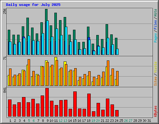 Daily usage for July 2025