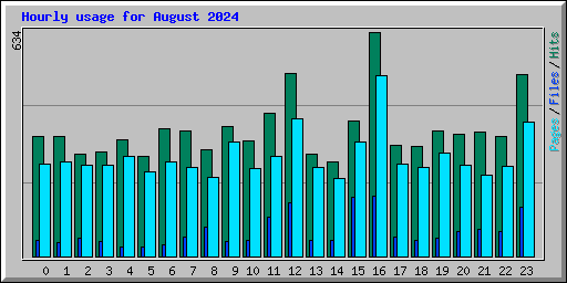 Hourly usage for August 2024