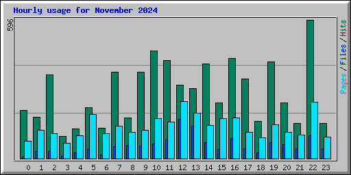 Hourly usage for November 2024