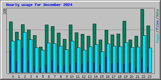 Hourly usage for December 2024