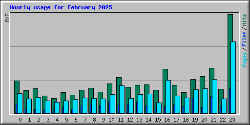 Hourly usage for February 2025