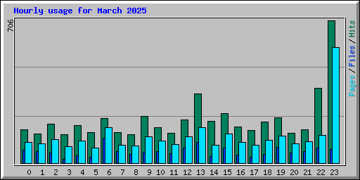 Hourly usage for March 2025