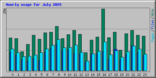 Hourly usage for July 2025