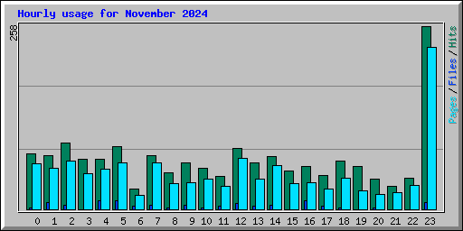 Hourly usage for November 2024