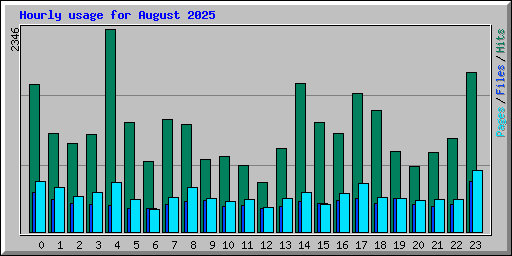Hourly usage for August 2025