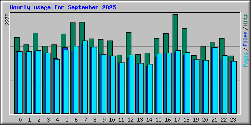 Hourly usage for September 2025
