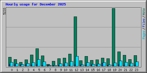 Hourly usage for December 2025