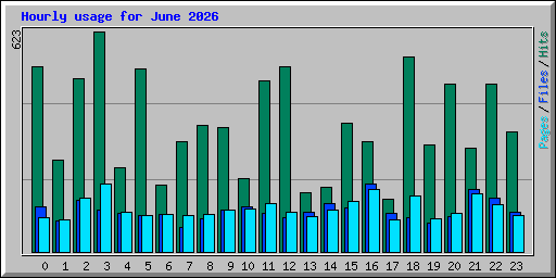 Hourly usage for June 2026