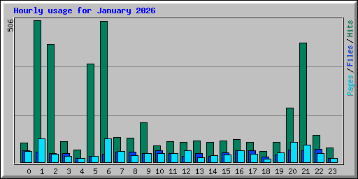 Hourly usage for January 2026