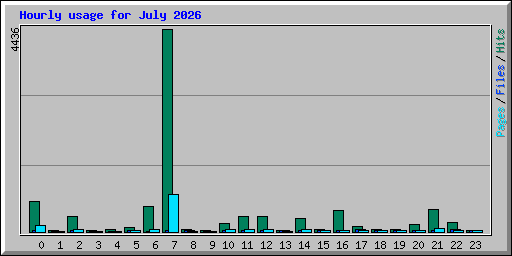 Hourly usage for July 2026