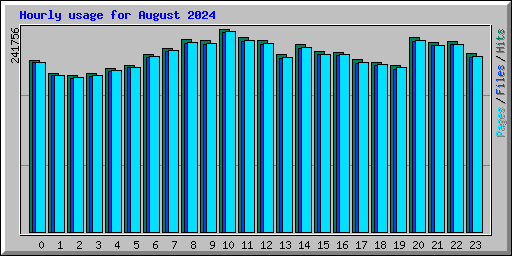 Hourly usage for August 2024