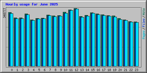 Hourly usage for June 2025