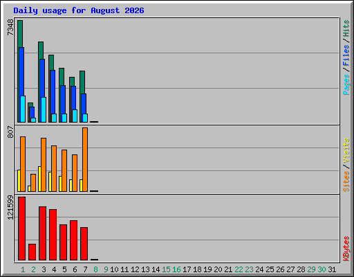 Daily usage for August 2026