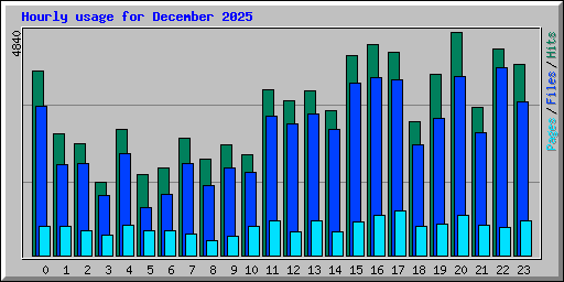 Hourly usage for December 2025
