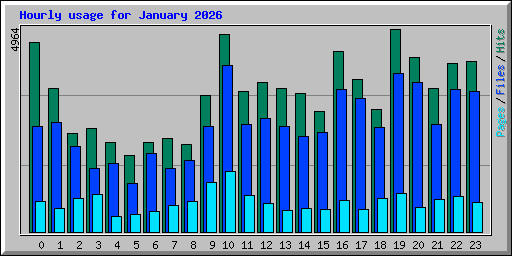 Hourly usage for January 2026