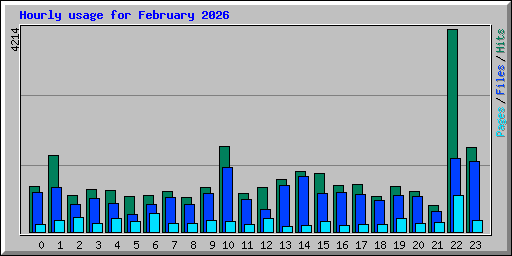 Hourly usage for February 2026