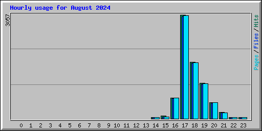 Hourly usage for August 2024